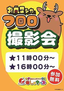 ◆お風呂シカフロロ撮影会のご案内（拡大表示）